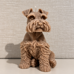 Hond Bowie
