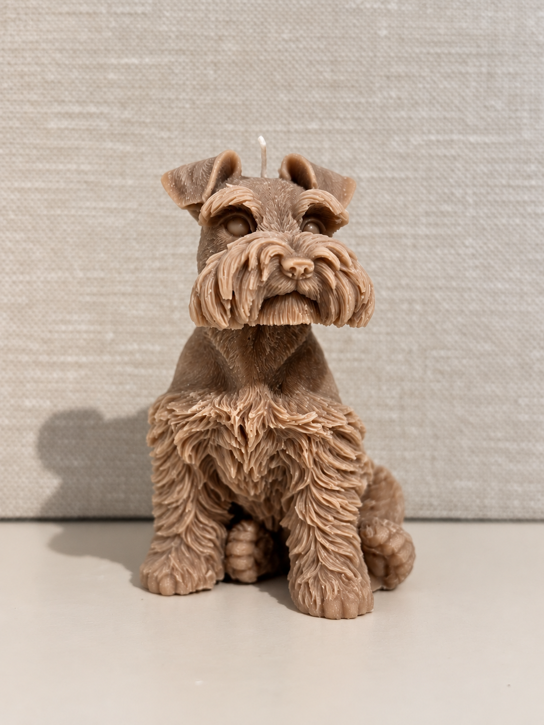 Hond Bowie