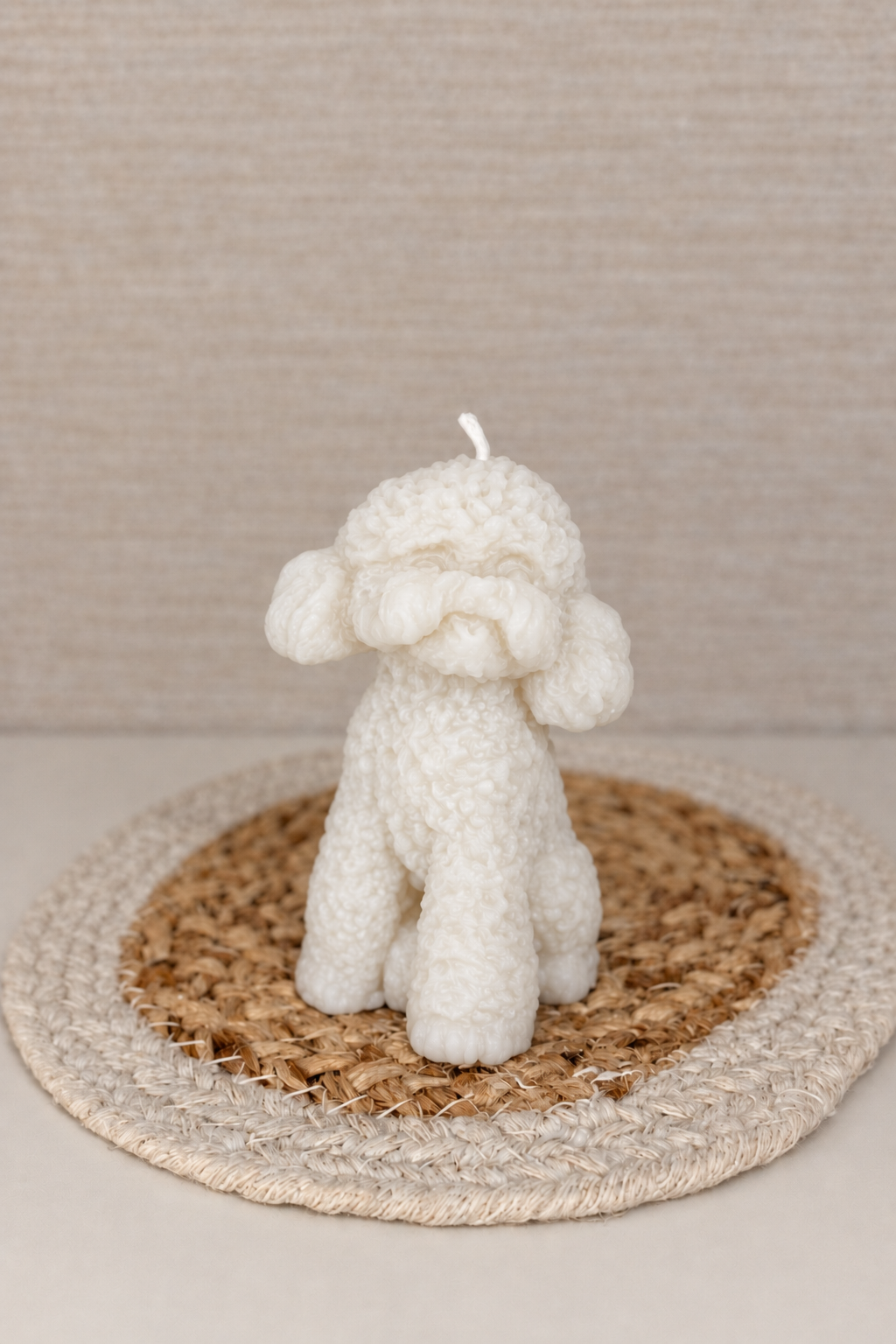 Hondje Ollie - Afbeelding 2