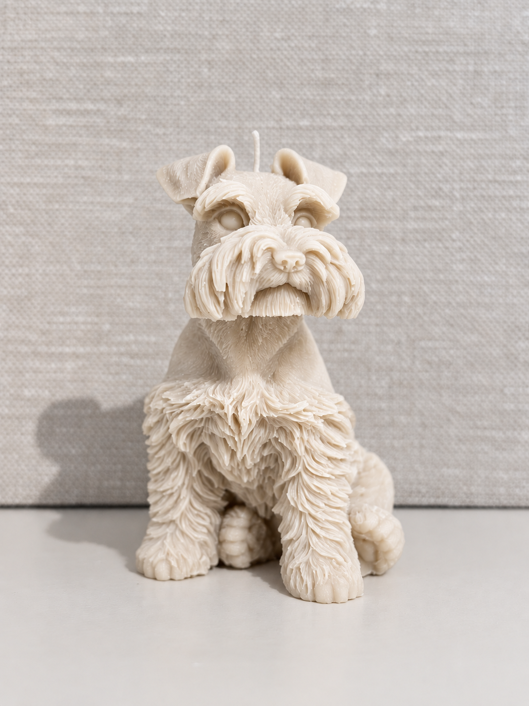 Hond Bowie - Afbeelding 2