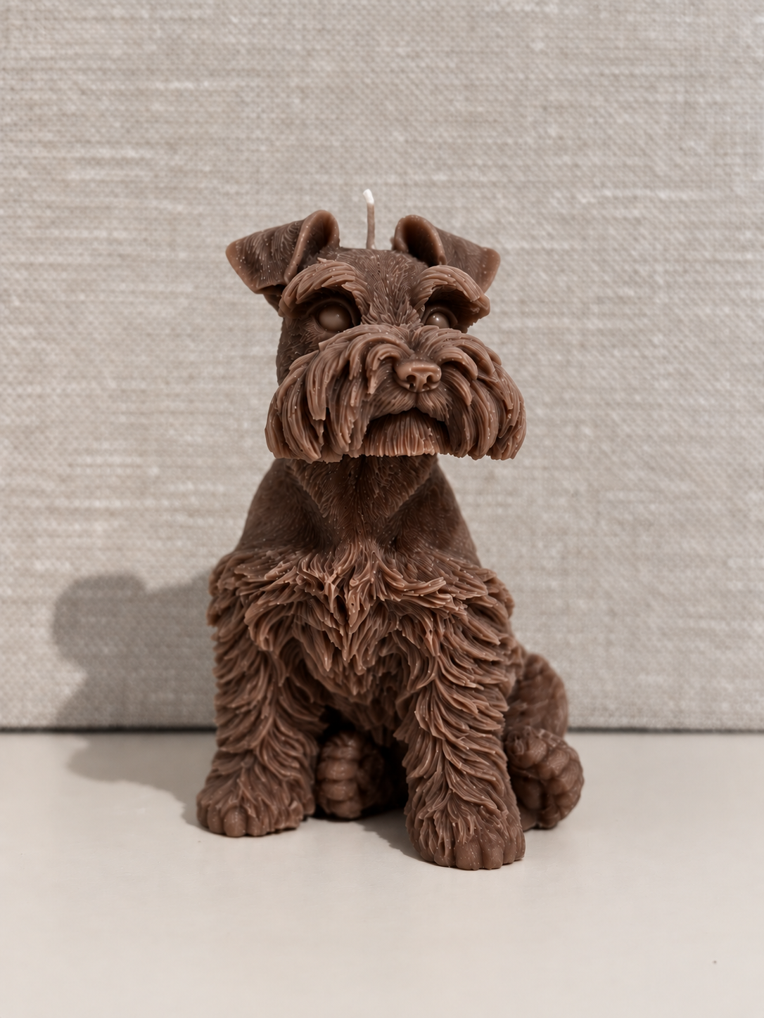 Hond Bowie - Afbeelding 3