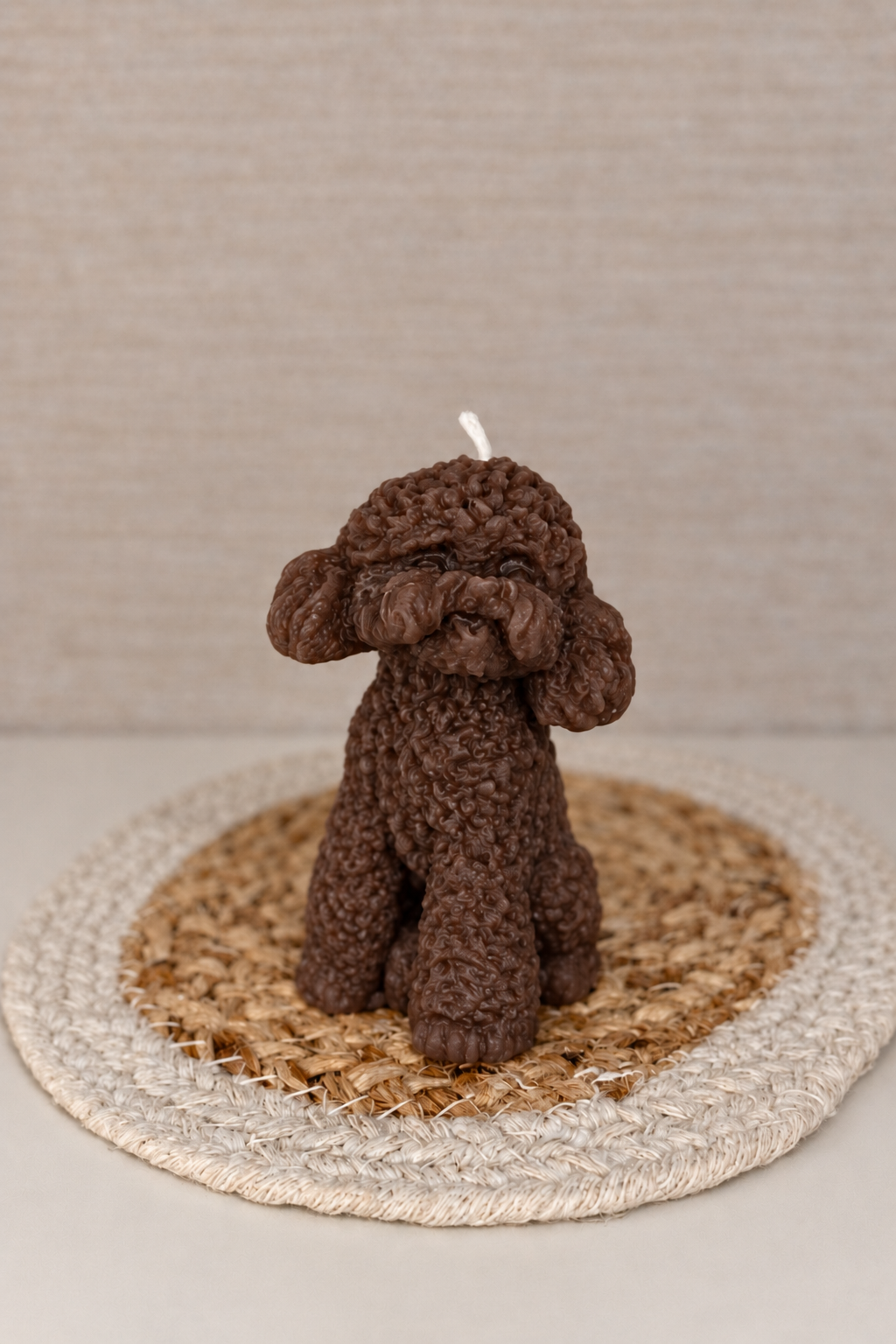 Hondje Ollie - Afbeelding 3